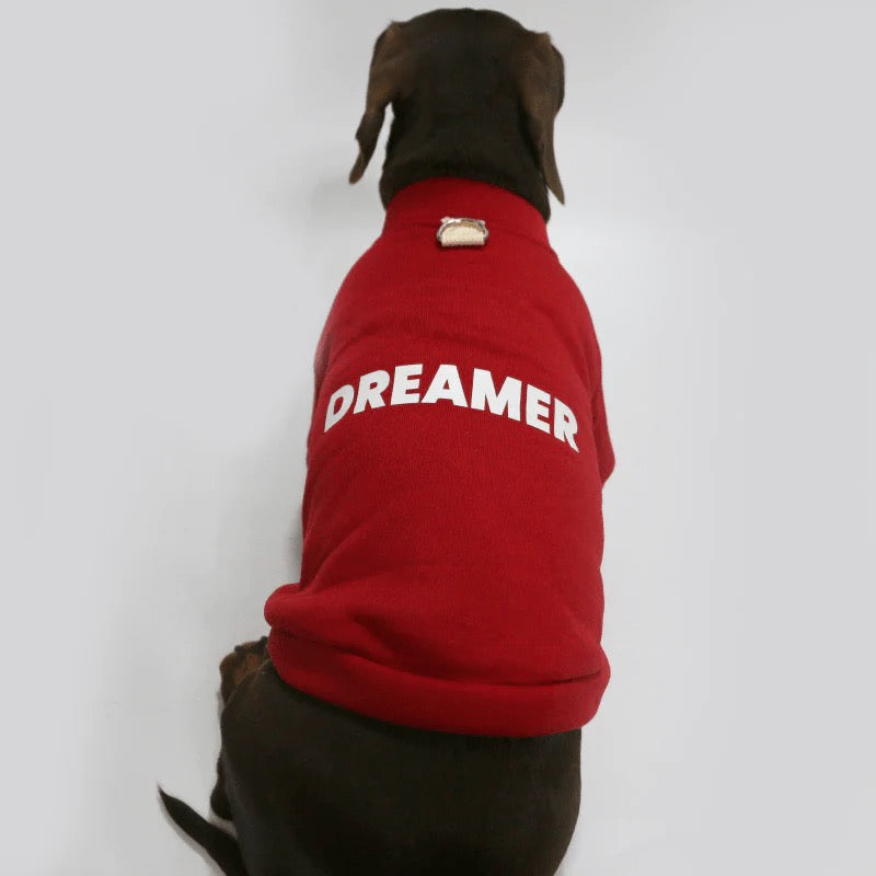 Dachshund in red fleece hoodie on a walk outdoors