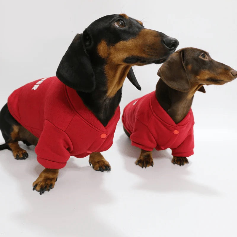 Close-up of soft fleece lining inside the Dreamer Dachshund Hoodie