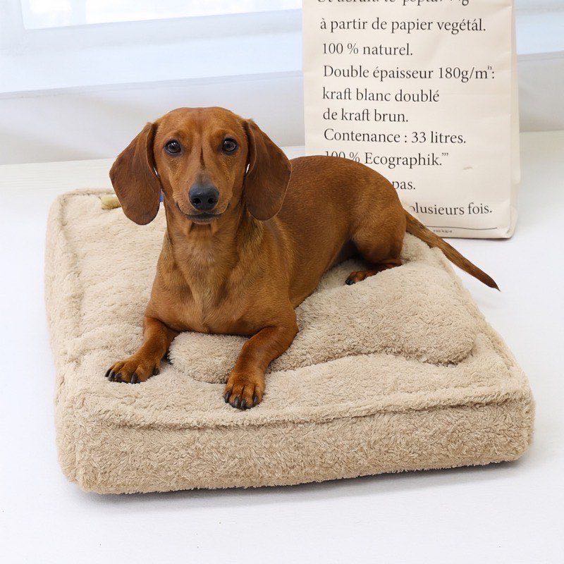 Dreamy Dachshund Bed