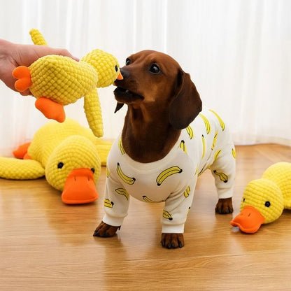 Duck Squeaky Dachshund Toy