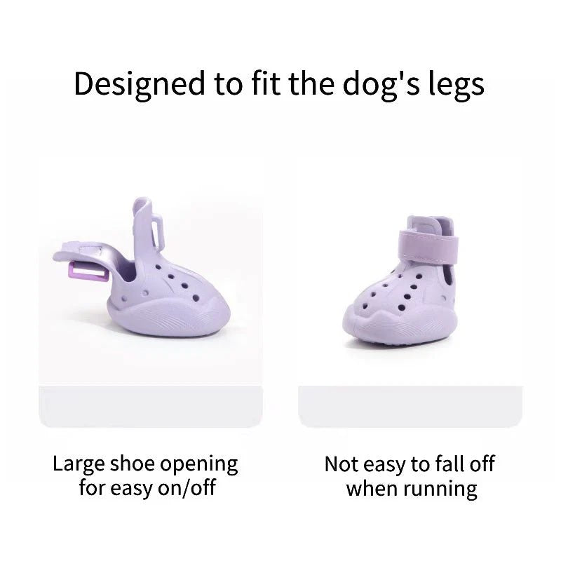 Reflective Dachshund Shoes Purple flat lay