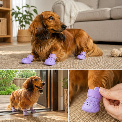 Reflective Dachshund Shoes lifestyle multi view