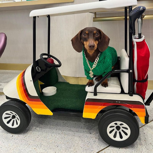 Green Dachshund Hoodie