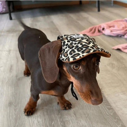 Graphic Doxie Baseball Hat