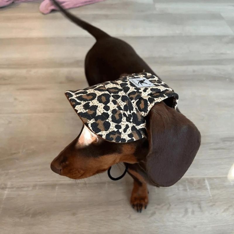 Graphic Doxie Baseball Hat