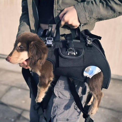 Dackel Schulter Tragetasche hands free