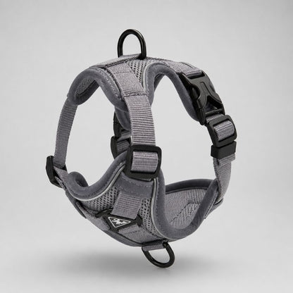 Dachshund Space Harness & Leash