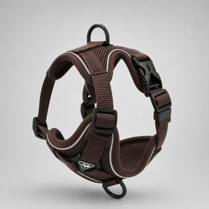 Dachshund Space Harness & Leash