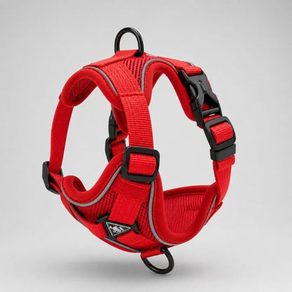 Dachshund Space Harness & Leash