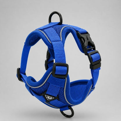 Dachshund Space Harness & Leash