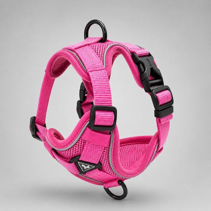 Dachshund Space Harness & Leash