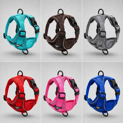 Dachshund Space Harness & Leash