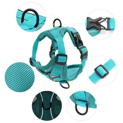 Dachshund Space Harness & Leash