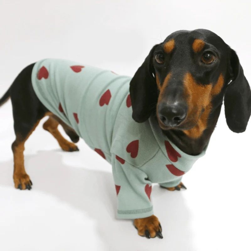 HeartPop Dachshund Sweatshirt