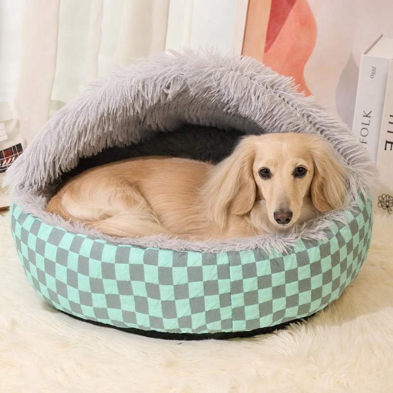 Cream long-haired dachshund lying in the gray Hooded Dachshund Donut Bed