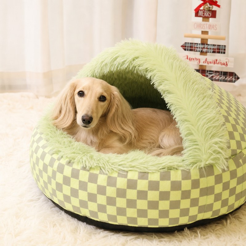 Dachshund resting under the plush hood of the green Hooded Dachshund Donut Bed