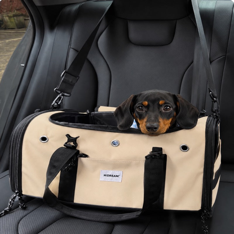 In-Cabin Dachshund Flight Carrier lifestyle 1