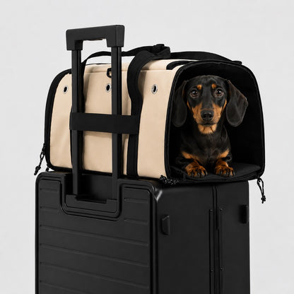 In-Cabin Dachshund Flight Carrier lifestyle 2