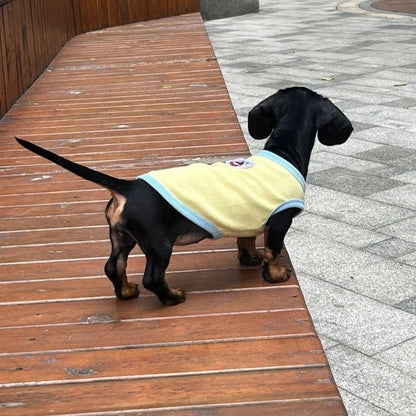 Dackel Shirt Zitronenbrise