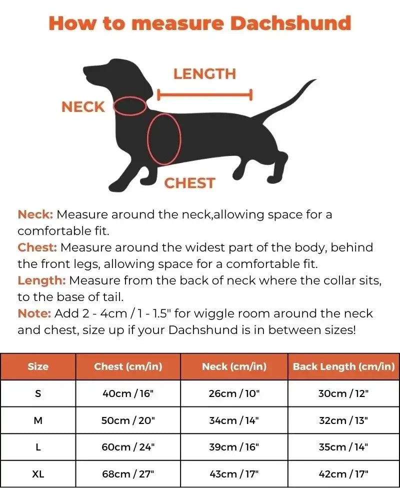 lion-dachshund-costume size guide