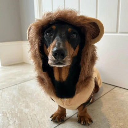 Lion Dachshund Costume