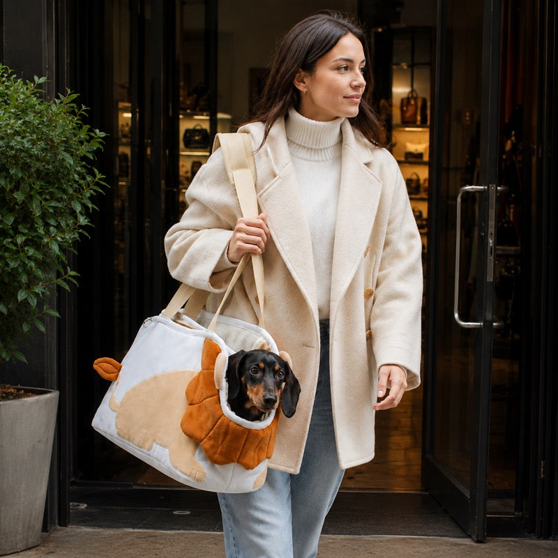 Lion Mane Dachshund Carrier hero