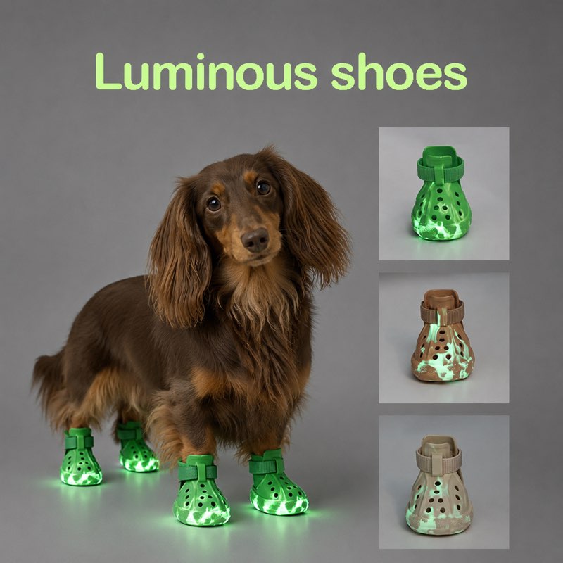 Luminous Dachshund Shoes featured