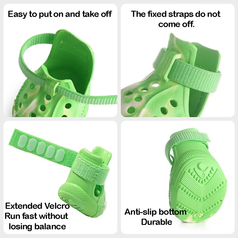 Luminous Dachshund Shoes lifestyle 2
