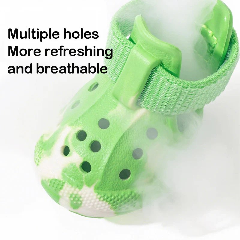Luminous Dachshund Shoes lifestyle 3