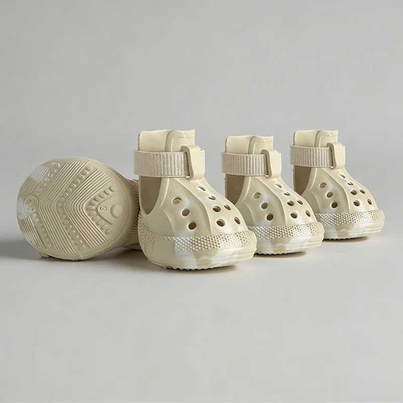 Luminous Dachshund Shoes lifestyle