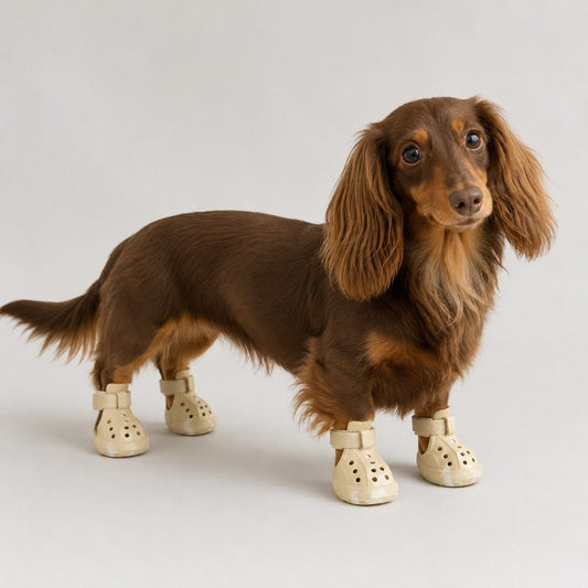 Luminous Dachshund Shoes detail velcro straps