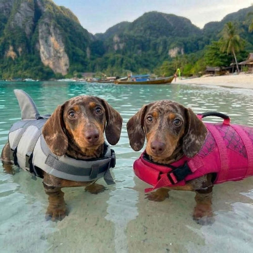 Mermaid & Shark Life Jackets