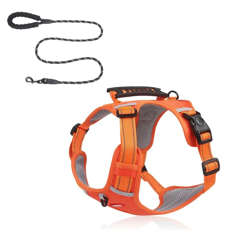 Mesh Reflective Dachshund Harness