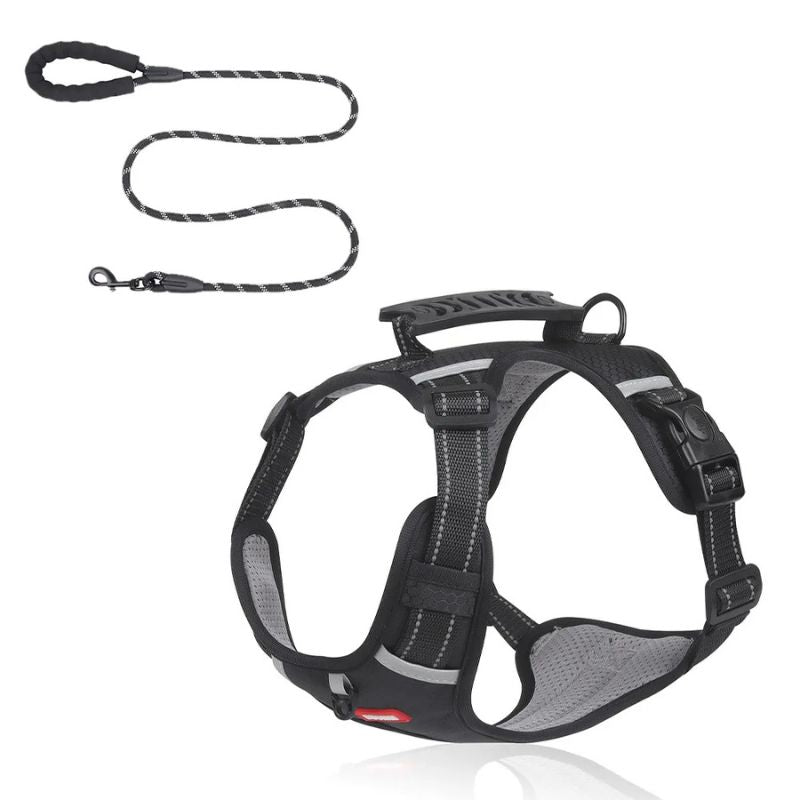Mesh Reflective Dachshund Harness