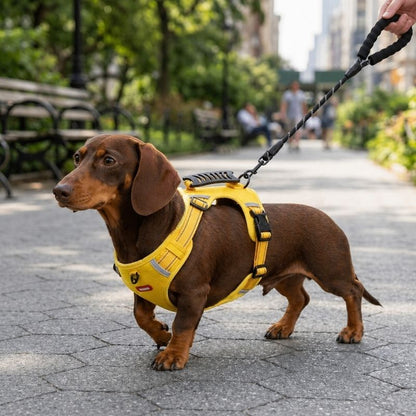 Mesh Reflective Dachshund Harness