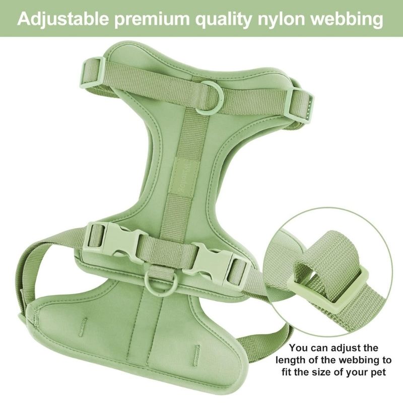No-Pull Dachshund Harness