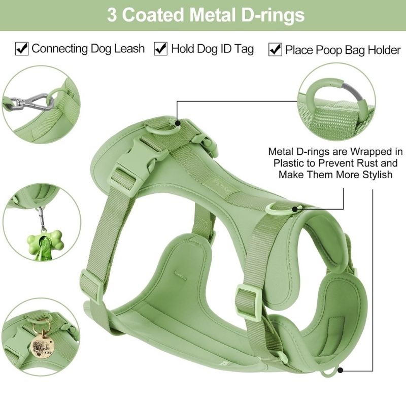 No-Pull Dachshund Harness