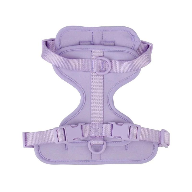 No-Pull Dachshund Harness