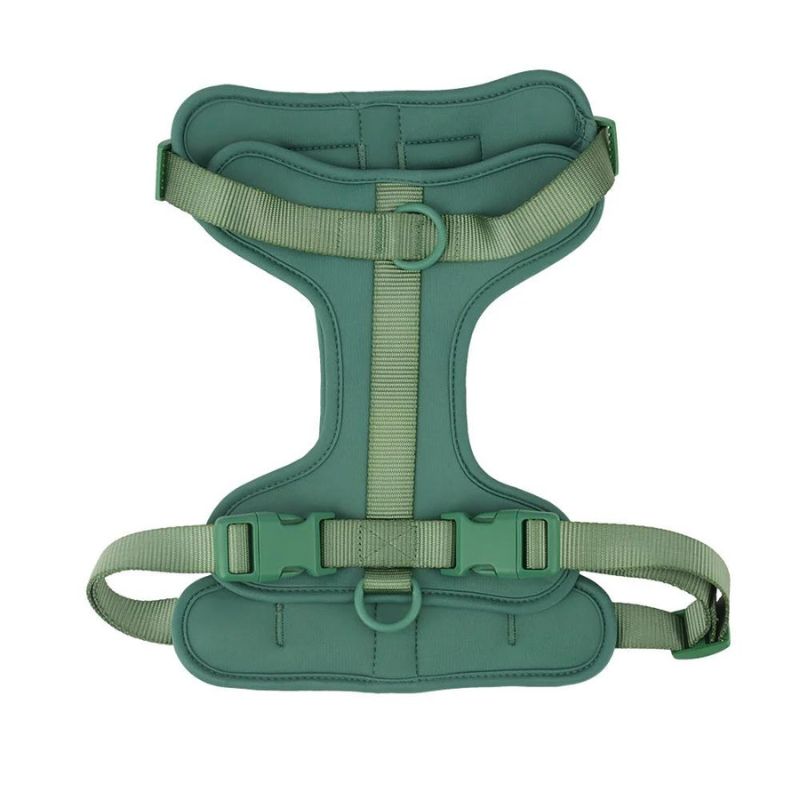 No-Pull Dachshund Harness