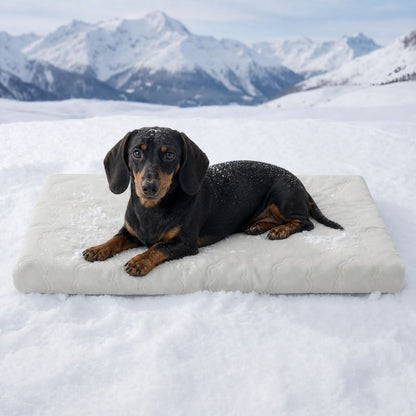 Non-Slip Dachshund Cooling Bed