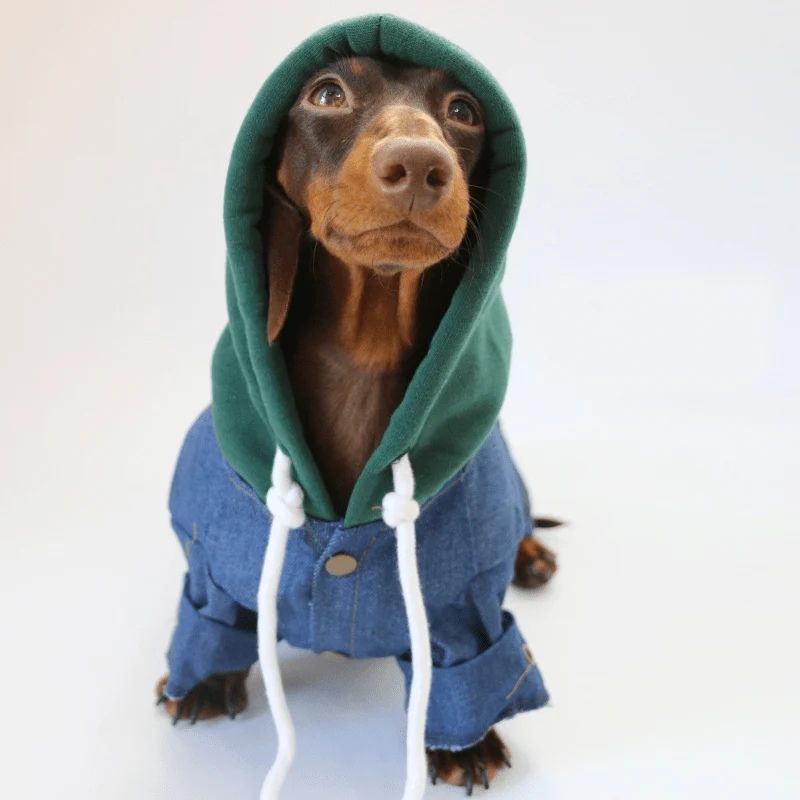 NYC Dackel Jeansjacke