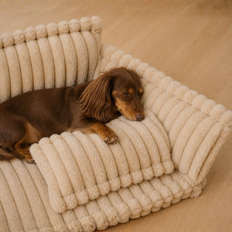 Orthopedic Dachshund Sofa Bed