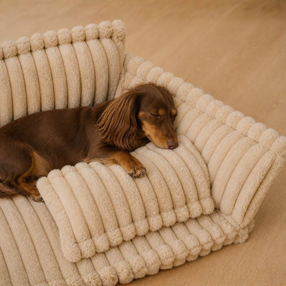 Orthopedic Dachshund Sofa Bed