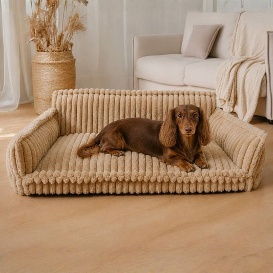 Orthopedic Dachshund Sofa Bed