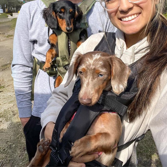 Outdoor Dachshund Backpack