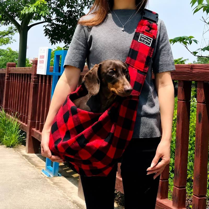 Dachshund in plaid sling carrier lifestyle
