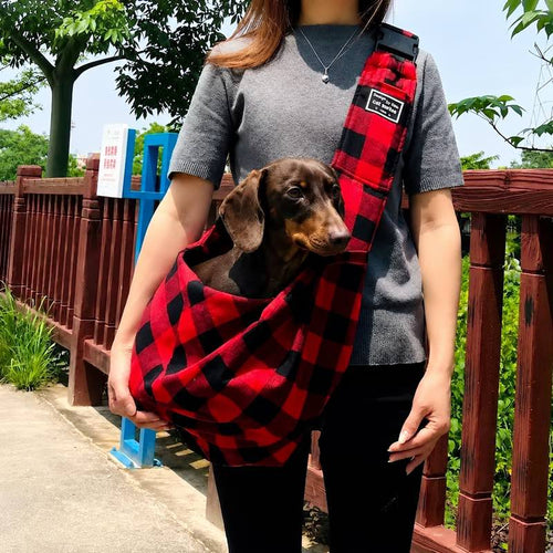 Dachshund in plaid sling carrier lifestyle