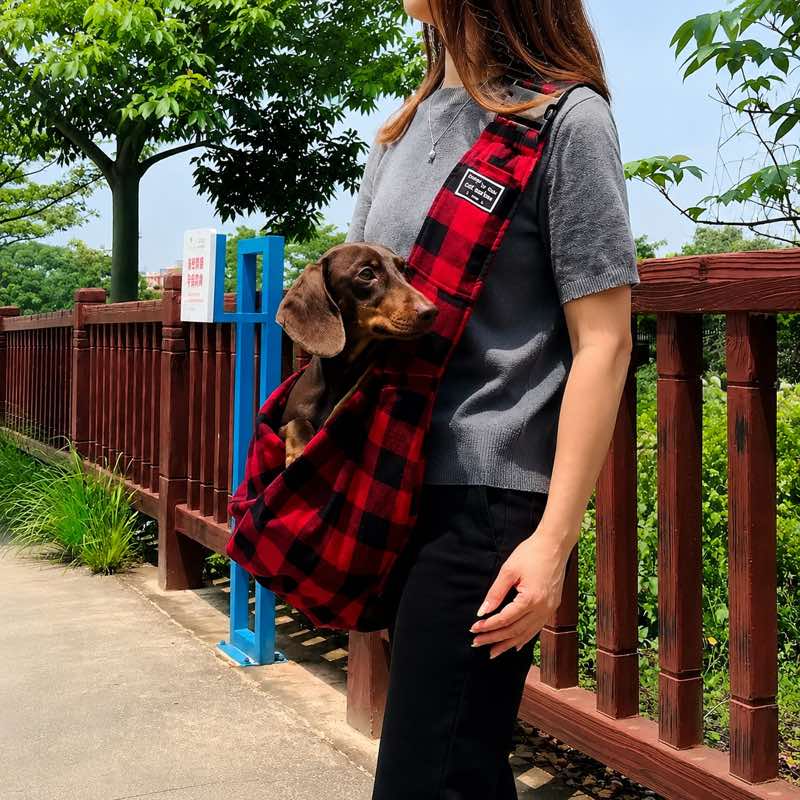 Owner carrying dachshund in plaid sling