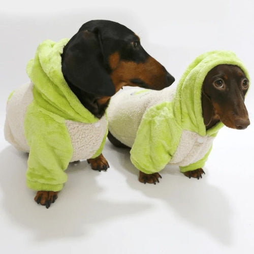 Sudadera PlanetB Cozy para Perros Salchicha