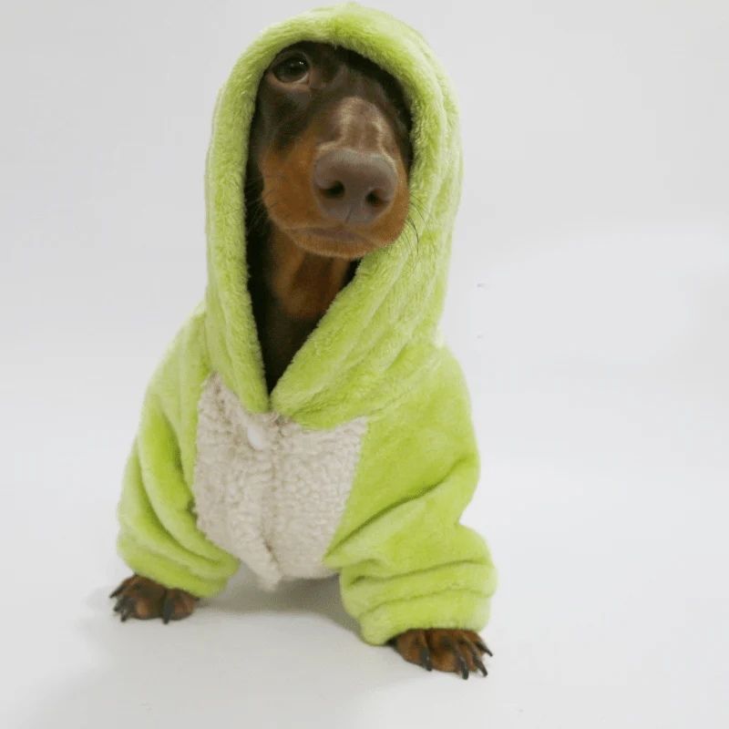 Sudadera PlanetB Cozy para Perros Salchicha